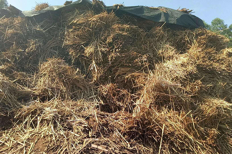 麻桿-連續式炭化爐物料