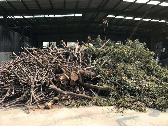 <strong>園林修剪殘枝敗葉的華麗轉身：連續(xù)式炭化爐的綠色實踐</strong>