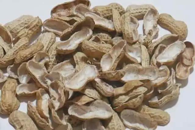 連續(xù)式炭化爐：廢棄花生殼轉化成工業(yè)燃料